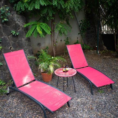 Le Bambou T3 Centre Ville Sainte Clotilde Rez De Jardin Bois de Nefles  ภายนอก รูปภาพ