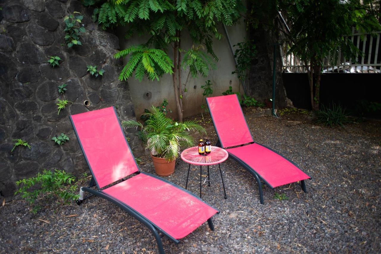 Le Bambou T3 Centre Ville Sainte Clotilde Rez De Jardin Bois de Nefles  ภายนอก รูปภาพ